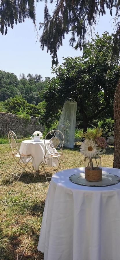 La Maison De Jardin Lucca Dış mekan fotoğraf