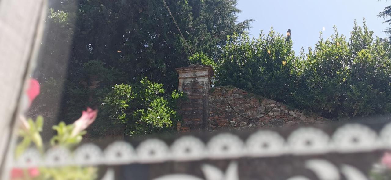 La Maison De Jardin Lucca Dış mekan fotoğraf