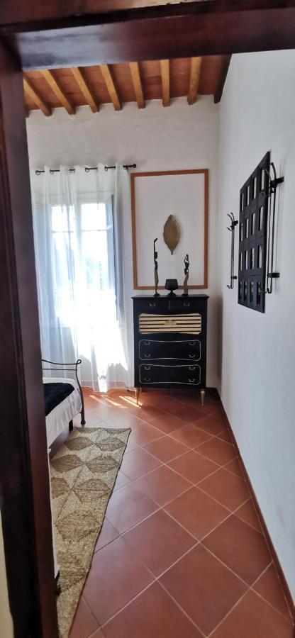 La Maison De Jardin Lucca Dış mekan fotoğraf