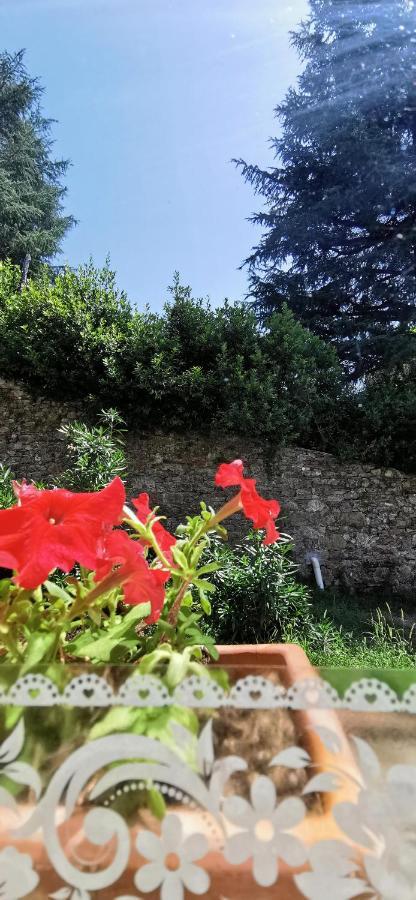 La Maison De Jardin Lucca Dış mekan fotoğraf