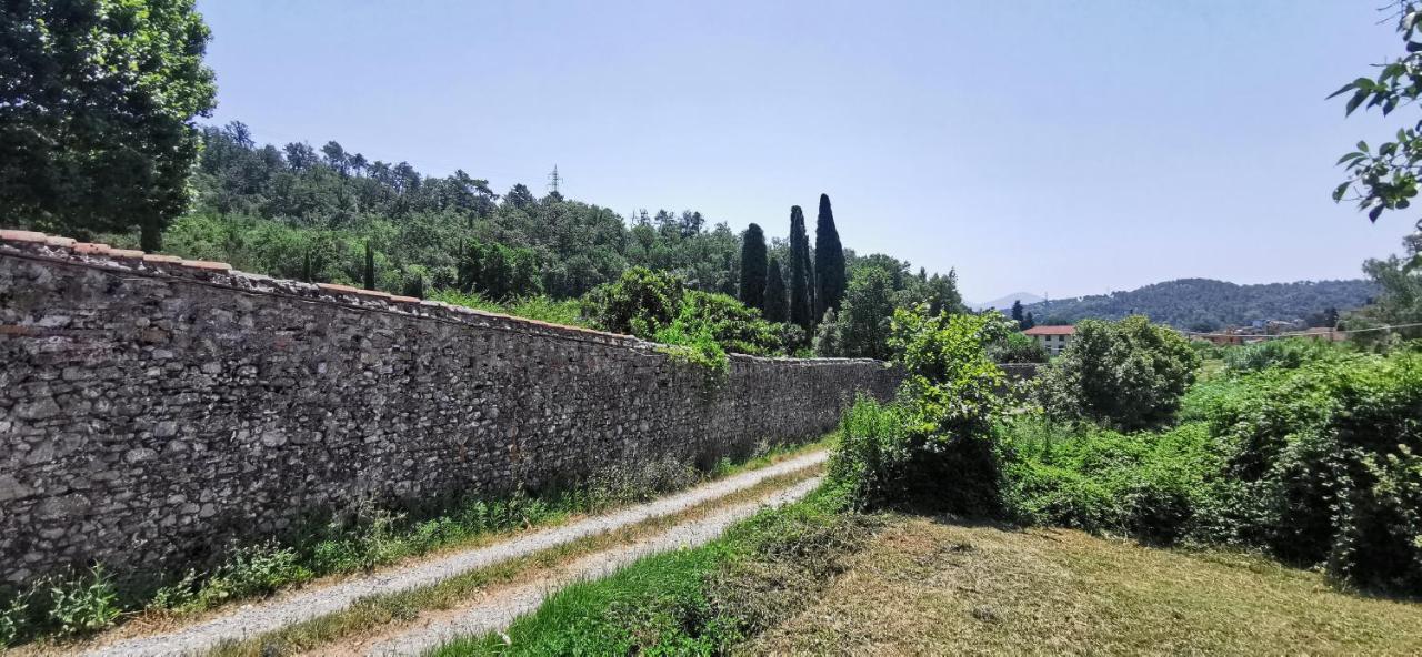 La Maison De Jardin Lucca Dış mekan fotoğraf