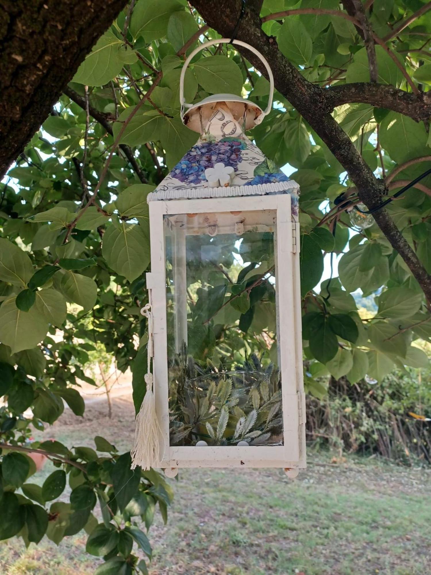 La Maison De Jardin Lucca Dış mekan fotoğraf
