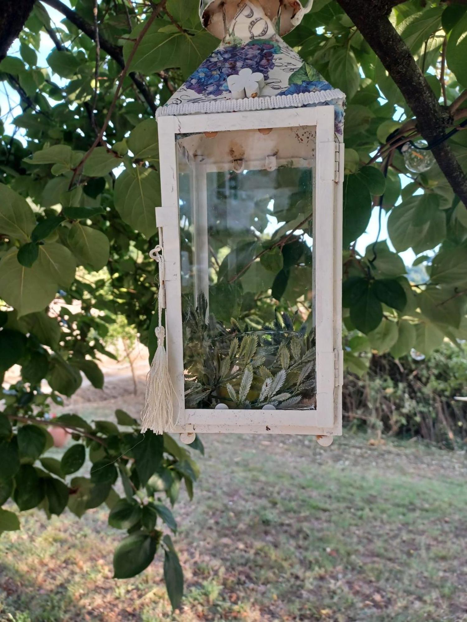La Maison De Jardin Lucca Dış mekan fotoğraf