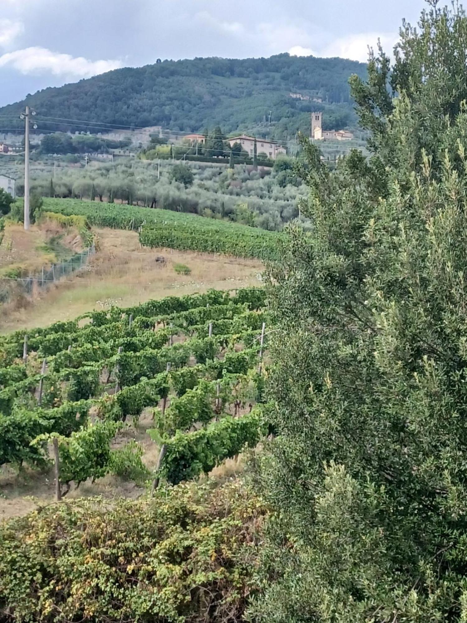 La Maison De Jardin Lucca Dış mekan fotoğraf